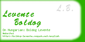 levente boldog business card